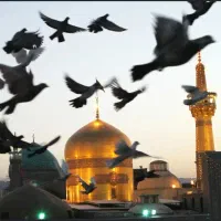 تور مشهد ویژه تابستون