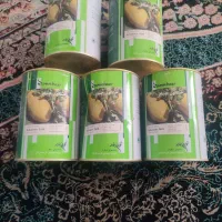 بذر خربزه مشهدی جام،ملون مشهدی جام