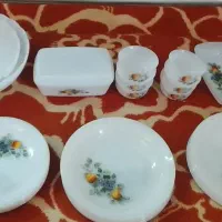 آرکوپال سیب گلابی فرانسه اصل