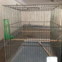 قفس پرنده