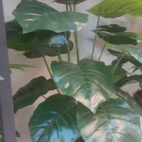 درختچه  مصنوعی|گل مصنوعی|ساوه, |دیوار