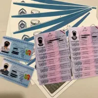 خبر. خبر دارم براتون