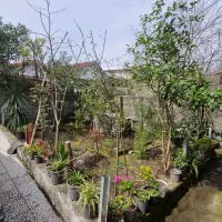 فروش خانه ویلایی روستایی، امکانات کامل