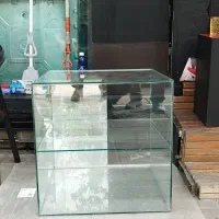 شو کیک ویترینی