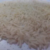 فروش برنج طارم هاشمی