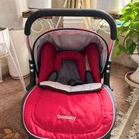 کریر|کالسکه و لوازم جانبی|شیراز, شاه قلی بیگی|دیوار