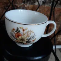 ۲ عدد فنجان عتیقه|کلکسیون اشیاء عتیقه|همدان, |دیوار