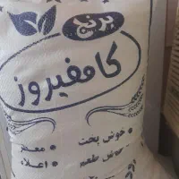 برنج کامفیروزی نورسید