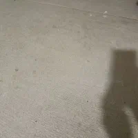 موکت 18متر|موکت|اهواز, کوروش|دیوار