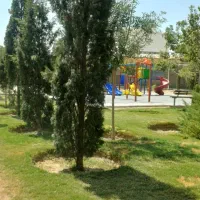 زمین-ارغوانیه-بلوار-دانشگاه