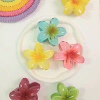 اکسسوری مو