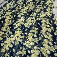 دوعدد ماکسی کرشه با کراس باچندعددلباس|لباس|مریوان, |دیوار