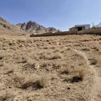 زمین سعید اباد|فروش زمین و ملک کلنگی|تفت, |دیوار