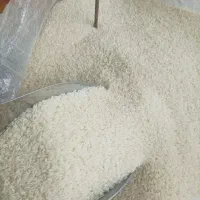 برنج عنبربو خوزستان