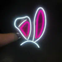 چراغ خواب نئون|ریسه و چراغ تزئینی|اصفهان, جلفا|دیوار