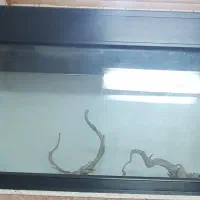 آکواریوم شرکتی شیشه خم