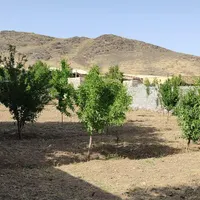باغ ۴دیواری ۱۰۰۰متری با مجوز ساخت دستجرد|فروش دفتر صنعتی، کشاورزی، تجاری|قم, انسجام|دیوار