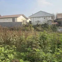 کدباران/۳۰۰متر زمین مسکونی گیلوا قیمت کل ۱،۱۳۰|فروش زمین و ملک کلنگی|کوچصفهان, |دیوار