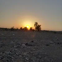 زمین-فروشی