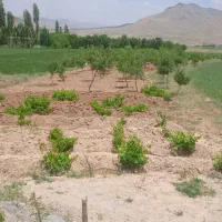 باغ تکمیل در بهترین لوکیشن، آینده دار|فروش زمین و ملک کلنگی|فریدونشهر, |دیوار