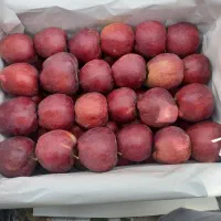 سیب|خوردنی و آشامیدنی|صفائیه, |دیوار