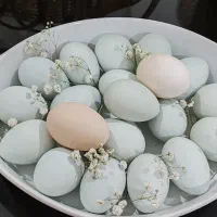 تخم مرغ و جوجه لاکندزی|حیوانات مزرعه|مسجد سلیمان, |دیوار