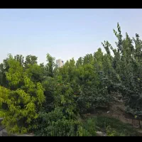 باغ ۲۱۰۰متری خانزنیان|فروش زمین و ملک کلنگی|شیراز, فخرآباد (دروازه کازرون)|دیوار