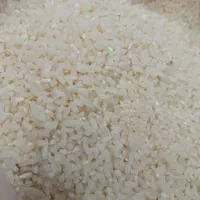 برنج اصیل دم سیاه کلات نادر کاملا ارگانیک|خوردنی و آشامیدنی|مشهد, حسابی جنوبی (شهرک غرب)|دیوار