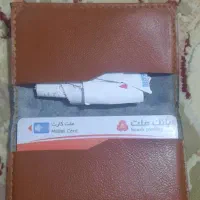 پیدا شده