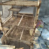 قفس جفت گاه کبوتر معاوضه با کبوتر رنگی مرغ|لوازم جانبی حیوانات|بندر کنگان, |دیوار