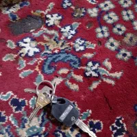 سویچ نیسان پیدا شده