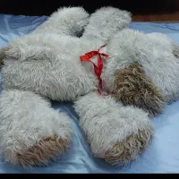 عروسک سگ بزرگ