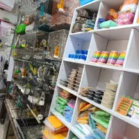 انواع پرنده و وسایل پرنده|پرنده|صومعه‌سرا, |دیوار