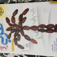 کتاب عربی خیلی سبز چاپ ۱۴۰۲