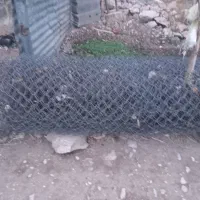 یک عدد سیف عشایری بزرگ به فروش می رسد