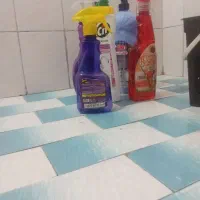 خدمات....نظافت منزل و ادارجات