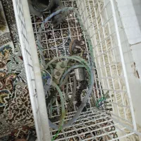 وسایل لباس شویی|ماشین لباسشویی و خشککن لباس|اهواز, گلستان|دیوار