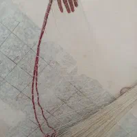 سالی ماهیگیری|ماهیگیری|لنگرود, |دیوار