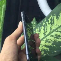 Iphone 11|موبایل|دزفول, |دیوار