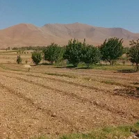 2500متر زمین در عقیل اباد مناسب ویلا،گلخانه و...