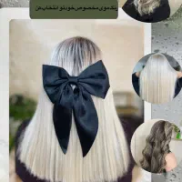 فر دائم و لایت و احیا