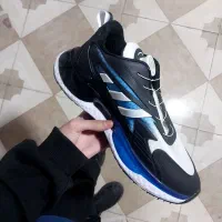 کتونی پمپی مردونه|کیف، کفش، کمربند|تولم شهر, |دیوار