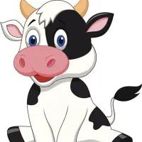 گوساله نر هلشتان درجه یه نژاد امریکایی