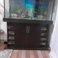 اکواریوم