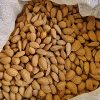 بادام درختی امساله با پوست