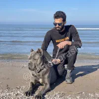 کنکورسو نر ماستیف ایتالیایی