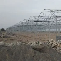 گلخانه نصب وتعویض پلاستیک  مشاوره