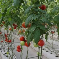 پذیرش سرمایه جهت گسترش فعالیت