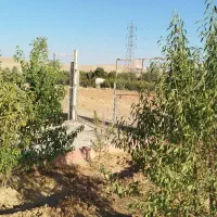 باغ ۱۰۰۰ متری جاده بیستون|فروش زمین و ملک کلنگی|کرمانشاه, |دیوار