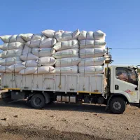 فروش کآه گندم